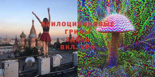 Альфа ПВП Ельня