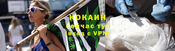дурь Елизово