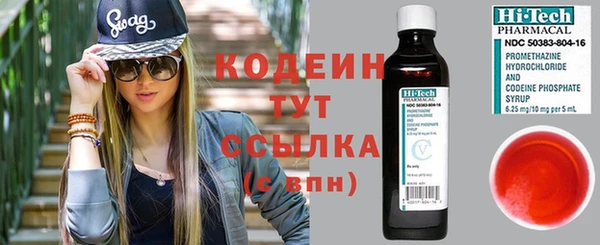 дурь Елизово
