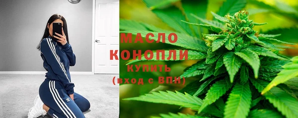 Альфа ПВП Ельня